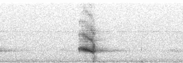 Тукан чорнодзьобий (підвид ariel) - ML57921