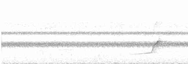 White-crowned Manakin - ML579210201