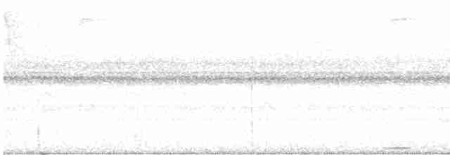 White-mantled Barbet - ML579211381