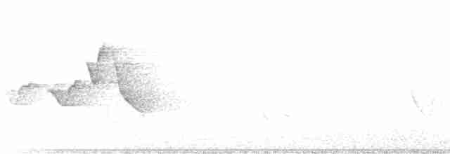Hooded Warbler - ML579216251