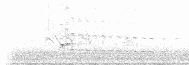 Russet-crowned Crake - ML579218661