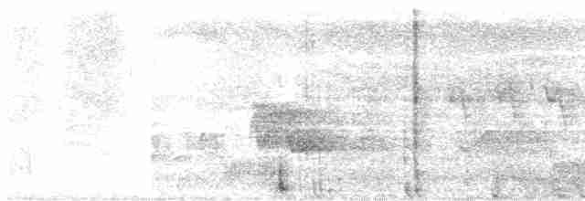 Cerulean Warbler - ML579239481