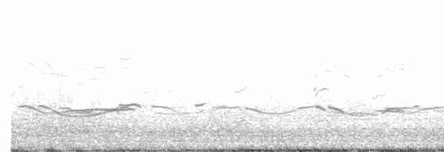 Black-bellied Plover - ML579251201