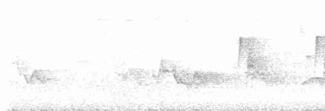 Cerulean Warbler - ML579282611