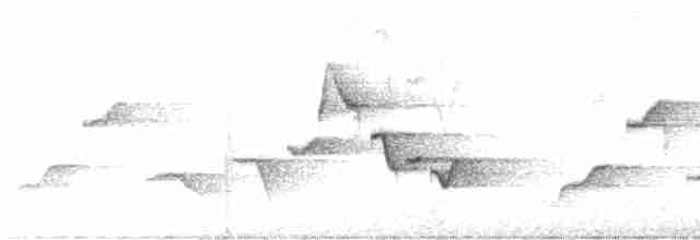 Тріщук сіроволий (підвид leucophrys/boliviana) - ML579337311