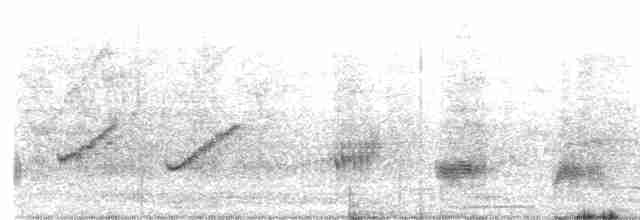 パタゴニアマネシツグミ - ML579356161