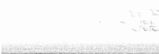 Yellow-rumped Warbler - ML579392791