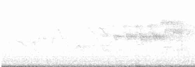 Cerulean Warbler - ML579399831
