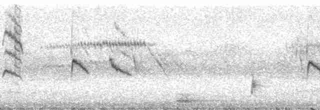 Окулярник фіджійський - ML5794