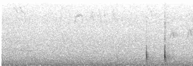 strakapoud americký [skupina harrisi] - ML579426061