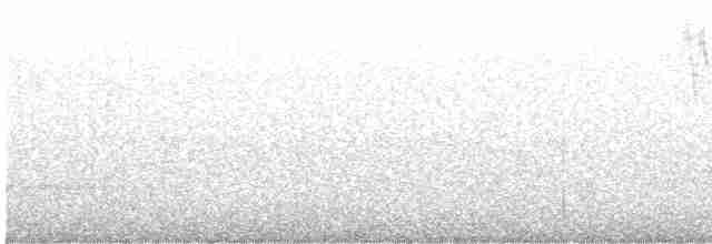 strakapoud americký [skupina harrisi] - ML579428881