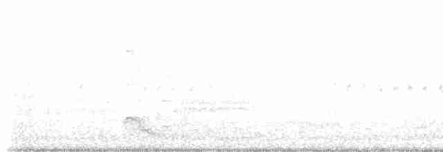 Common Gallinule - ML579435731