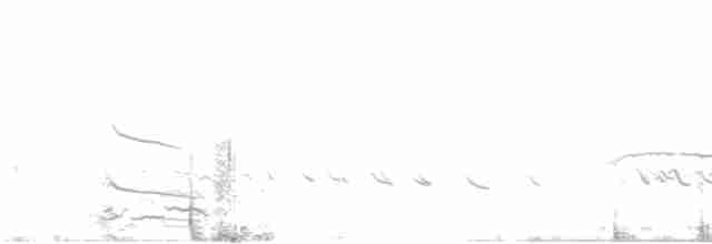 Common Tern - ML579454401