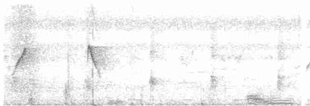 Kahverengi Gerdanlı Nektarkuşu - ML579482471