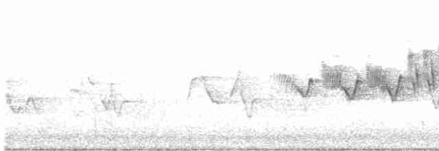 Cerulean Warbler - ML579484161