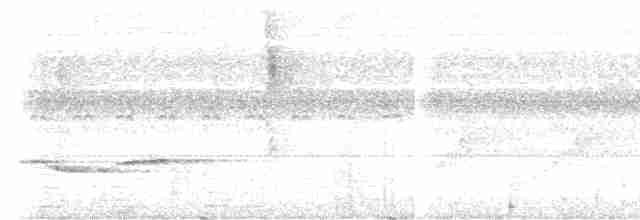 Küpeli Çalı Timalyası - ML579495901