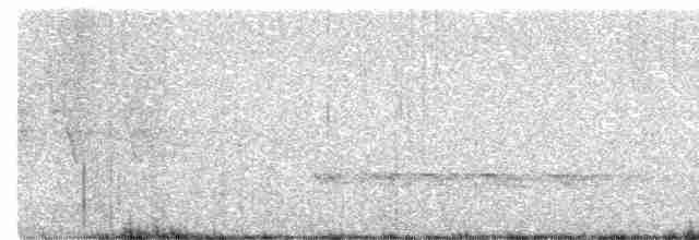 Cerulean Warbler - ML579496411