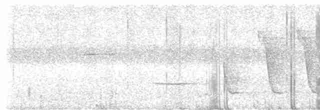 Bornean Whistler - ML579499211