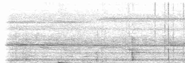 Bornean Ground-Cuckoo - ML579513401