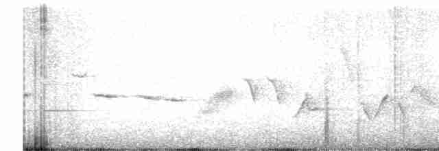 Turuncu Ardıç - ML579515801