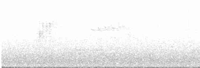 Haubenschlangenadler [cheela-Gruppe] - ML579546841