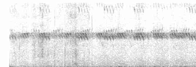 Common Rosefinch - ML579619741