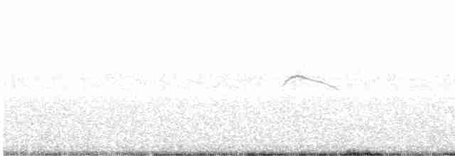 Sperlingsvogel, unbestimmt - ML579624891