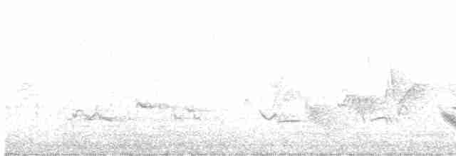 Weidenmusendrossel - ML579634021