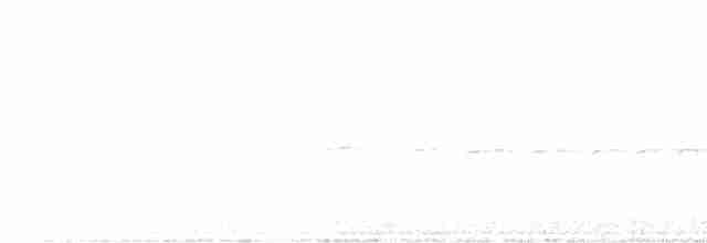 Prairie Warbler - ML579703201