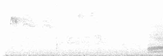 Cuervo Grande - ML579715281