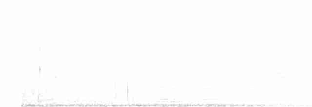 Büyük Mor Kırlangıç (hesperia) - ML579740311