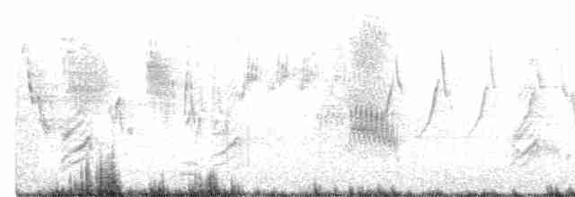 Urraca de Nuttall - ML579752131
