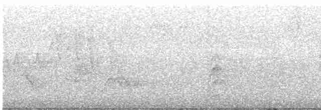 Cerulean Warbler - ML579792751