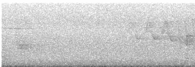 Cerulean Warbler - ML579792761