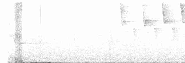 Tennessee Warbler - ML579816711