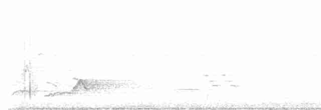 Schwarzkehl-Nachtschwalbe - ML579835031