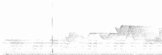 Weißbrustkleiber (carolinensis) - ML579835531