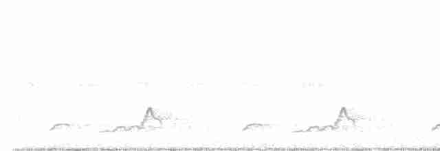 Schwarzkehl-Nachtschwalbe - ML579837781