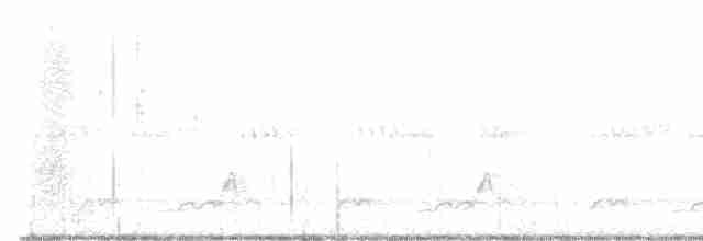 Schwarzkehl-Nachtschwalbe - ML579838231