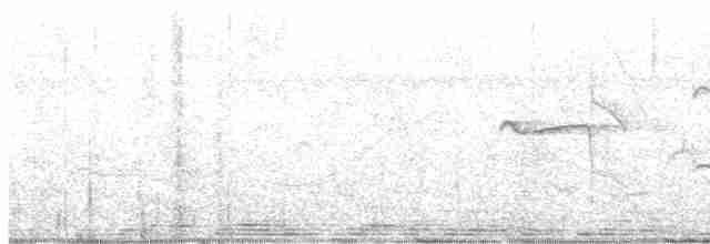 Speckle-breasted Wren - ML579854761