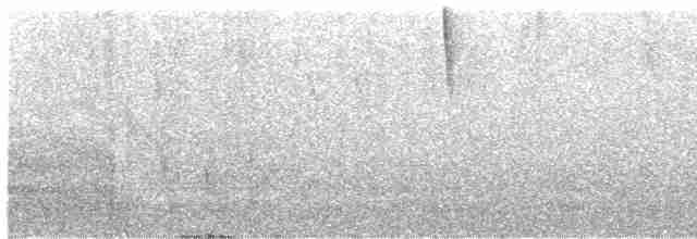Troglodyte de Negret - ML579857881