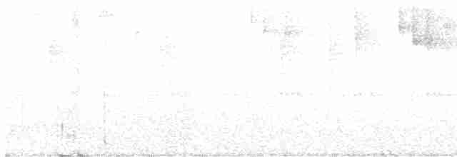 Голубок білогорлий - ML579947331