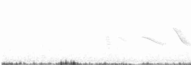 Tinamou des Andes - ML579950711