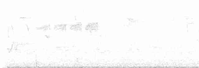 Чернокрылая пиранга - ML579955621