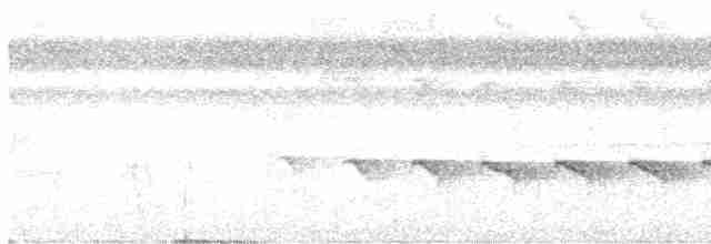 Kurzschwanz-Ameisenvogel - ML579956151