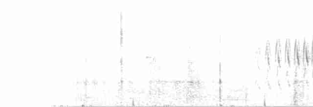Damalı Sepetören [sclateri grubu] - ML579957161