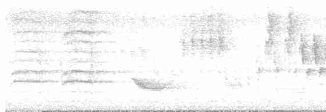 Дрізд-короткодзьоб бурий - ML579975221