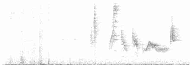 Vireo Ojiblanco - ML579993441