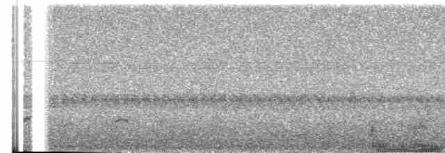 Lyre-tailed Nightjar - ML580003831