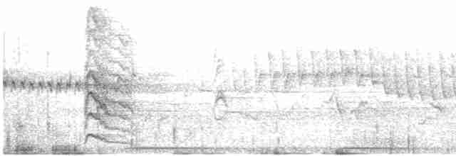 Красногрудый дятел-сокоед (daggetti) - ML580011211